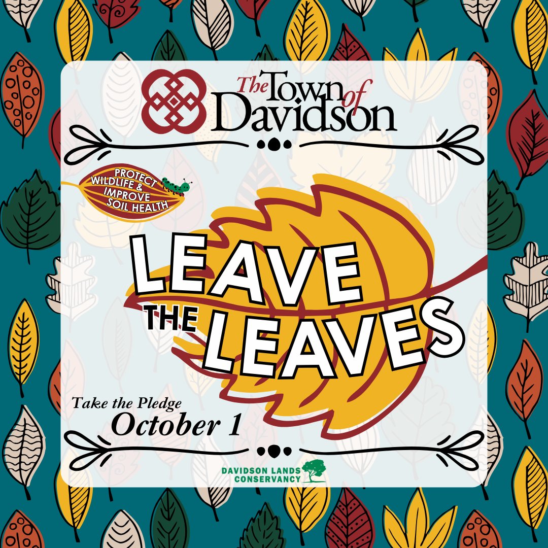 Town of Davidson, NC tweet media