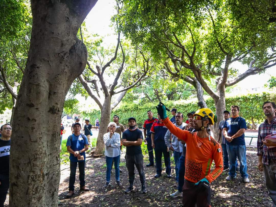 SDSySPCuerna's tweet photo. El @CuernavacaGob, a través de la SDSySP, en coordinación con Dr. Árbol y diversas organizaciones preocupadas por el cuidado del medio ambiente🌱, llevaron a cabo una capacitación impartida por el biólogo y arborista Juan Pablo Plata👷🏻‍♂️, https://t.co/Le0M3CJgRv