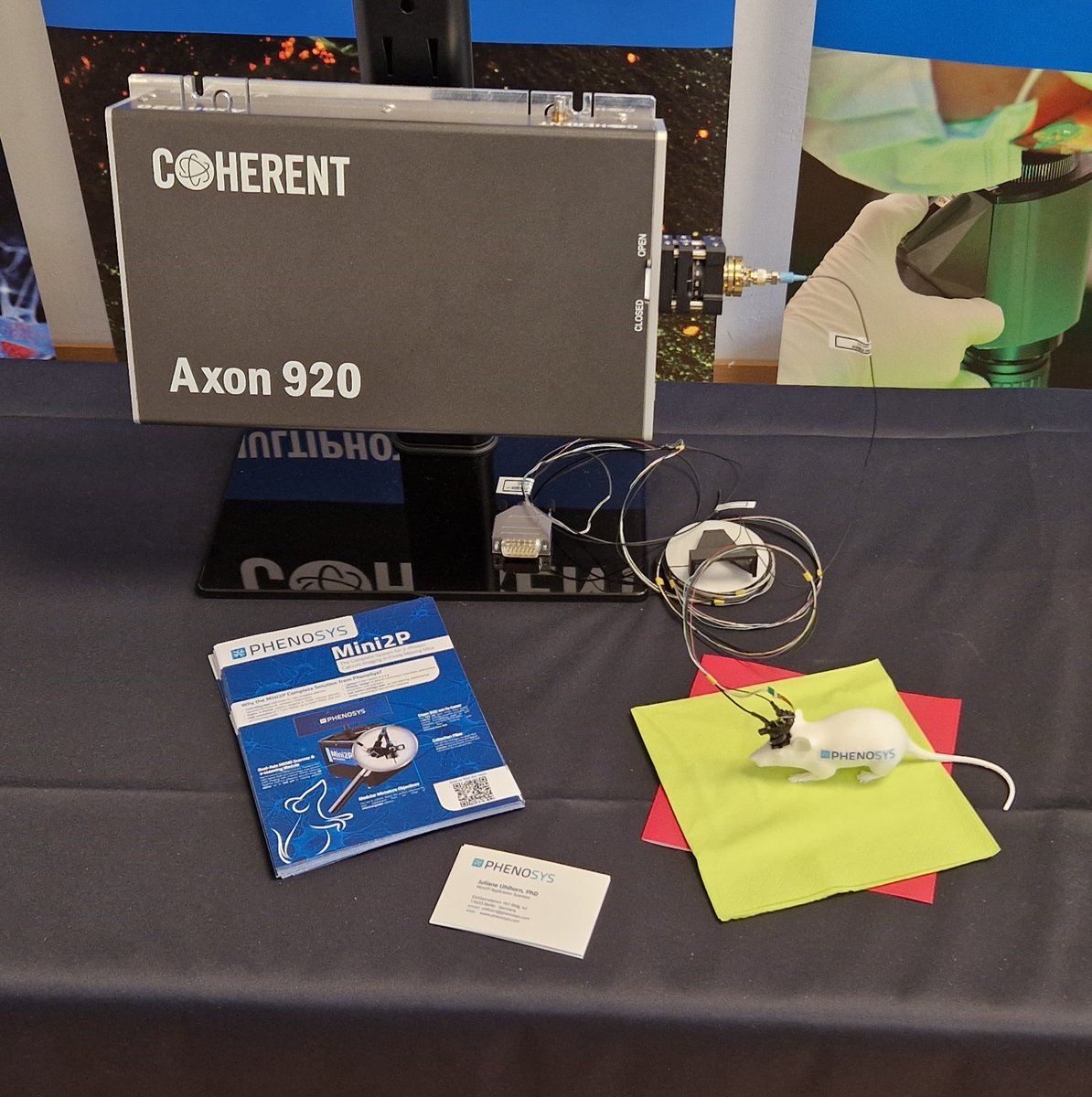 phenosys's tweet photo. #Mini2P Scope and direct fiber coupler to #Coherent Axon 920 femtosecond laser proudly presented @ESULAB2024. Big thanks to the team from #Coherent, who made this showcase application possible in Jena this year.
#2photon #miniscopes #calciumimaging #freelymoving #brainimaging https://t.co/GGmoUr33hj