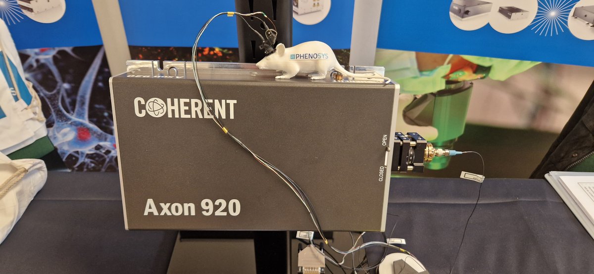 phenosys's tweet photo. #Mini2P Scope and direct fiber coupler to #Coherent Axon 920 femtosecond laser proudly presented @ESULAB2024. Big thanks to the team from #Coherent, who made this showcase application possible in Jena this year.
#2photon #miniscopes #calciumimaging #freelymoving #brainimaging https://t.co/GGmoUr33hj