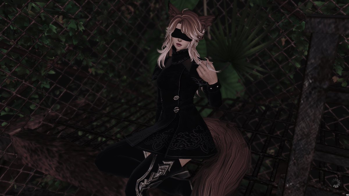 halonestide's tweet photo. @tamaki__ffxiv have a couple of lizards (ft wife) and a cat 🥰 feel better soon! https://t.co/rxIfP6EEb6