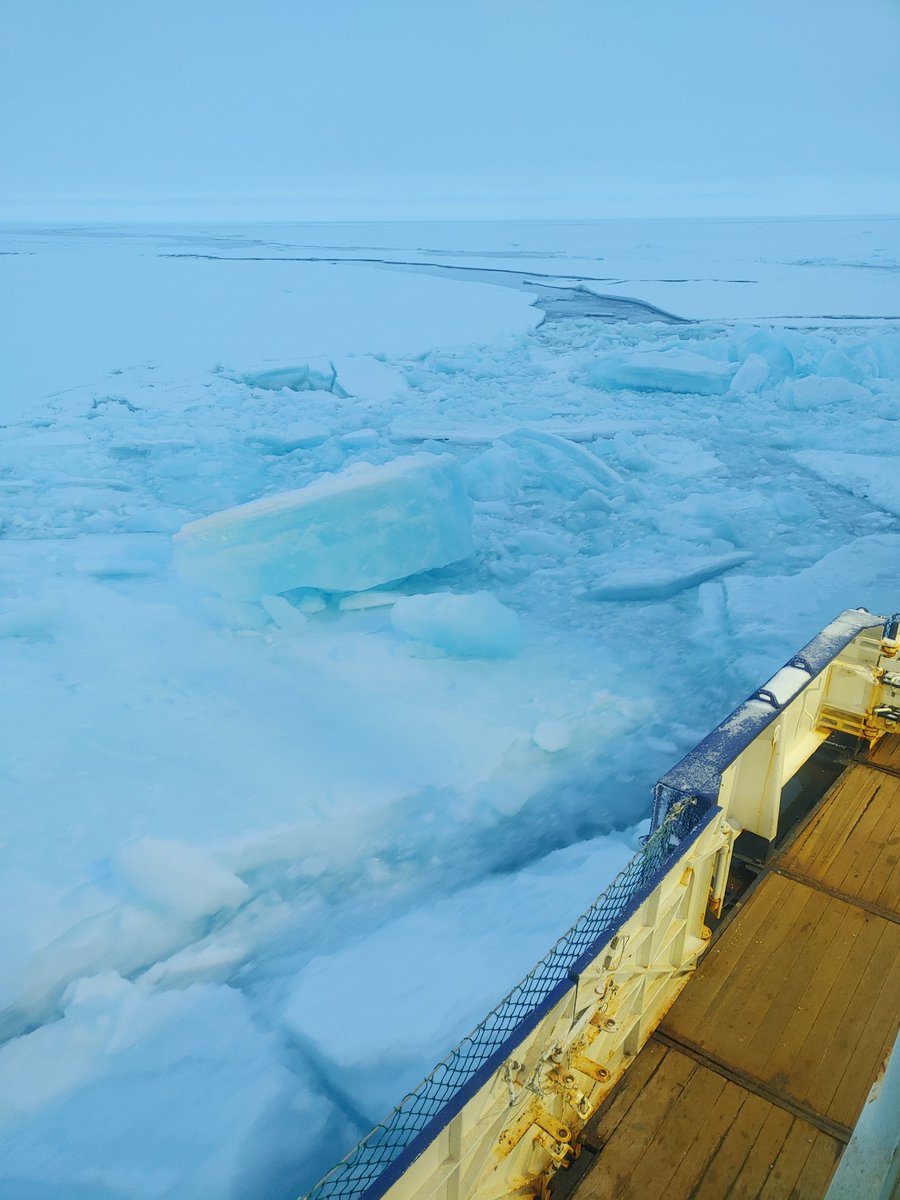 The #Arctic #SeaIce is so incredibly variable 😦 These two pictures were not 1 minute apart:
- Left, thin new ice, hardly 5 cm thick, with cracks of open water;
- Right, that big block was more than 2 m thick and had 3 distinct frozen layers = multi year ice
#PS144 #Cryosphere