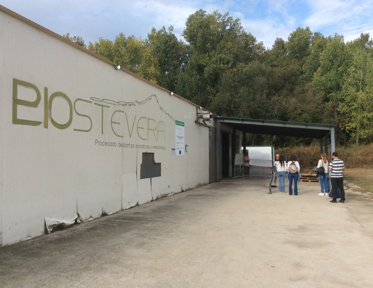 CFMRDonBenito's tweet photo. El sábado 21 de septiembre alumnas del curso de "Producción y comercialización de PAM,s II" organizado en el CFMR de Don Benito visitaron la empresa BIOSTEVERA líder en producción de stevia ecológica en Europa, situada en Villanueva de la Vera https://t.co/zlDkCF0HLN