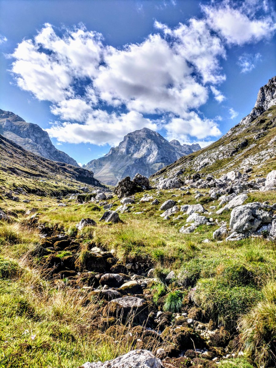 DavidAlonsoMed's tweet image. Hoy estaba #Picos con el guapo subido😍, #Asturies 💚🩶💙