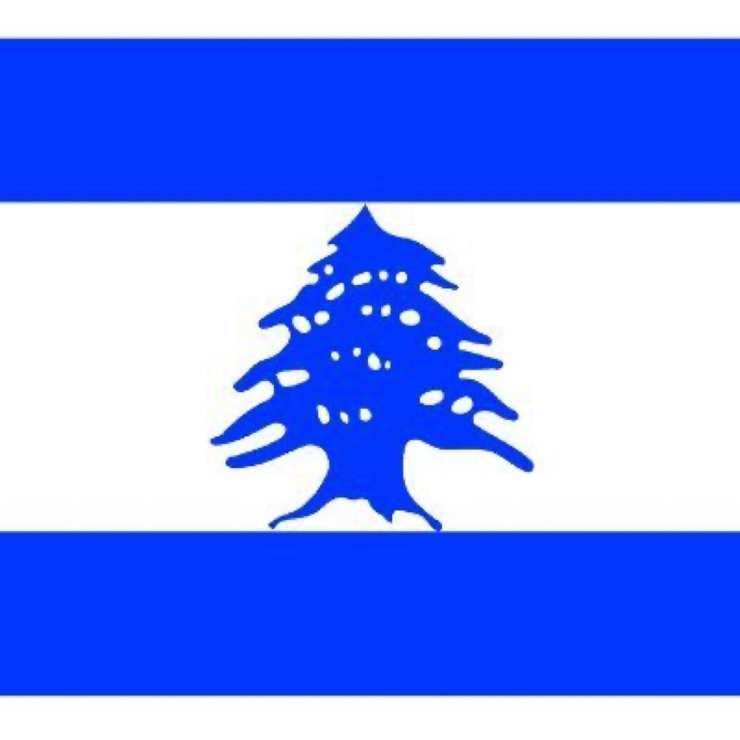 PulseOfUkraine's tweet image. ✍️✍️✍️✍️ По мне так норм дизайн для Ливанского флага.

Если ты пускаешь на свою землю террористов, даешь им стать частью государства и «не замечаешь» то как они атакуют соседнее государство - будь готов к тому что тебе настанет пиздец.

И да, это не только о Ливане

#HaimComment