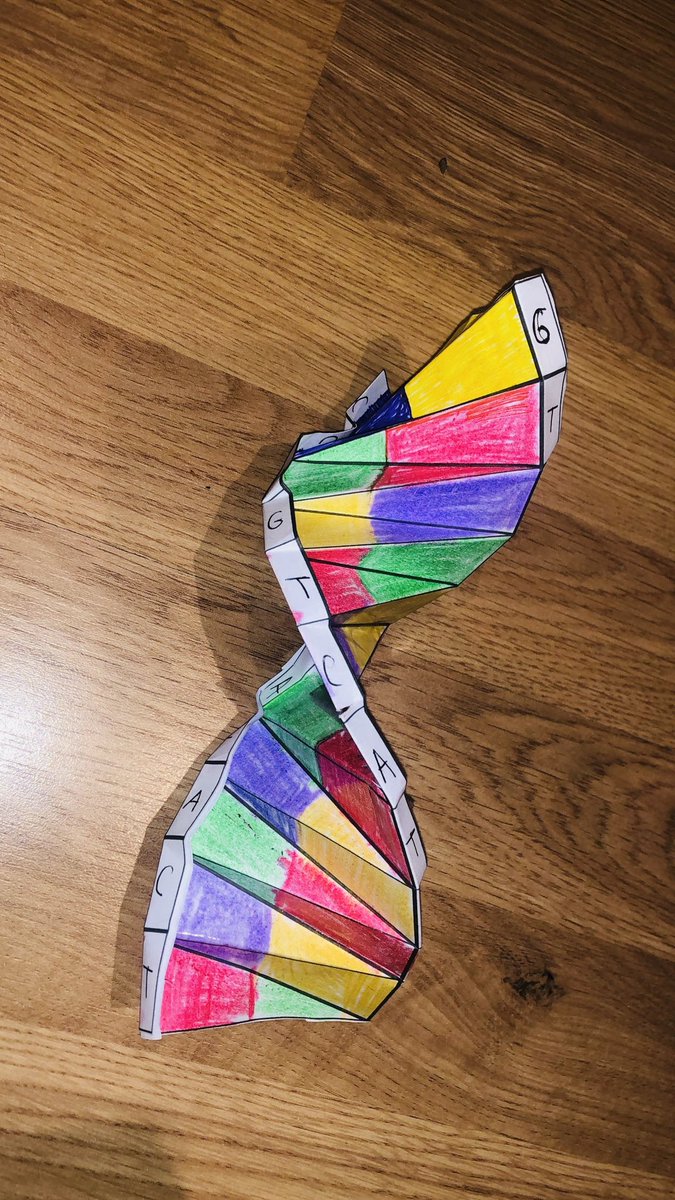 Buckle175's tweet photo. Immy’s DNA 🧬🧬 

@GES_Science 

🥼🙌🏻 https://t.co/enqGcUCkup