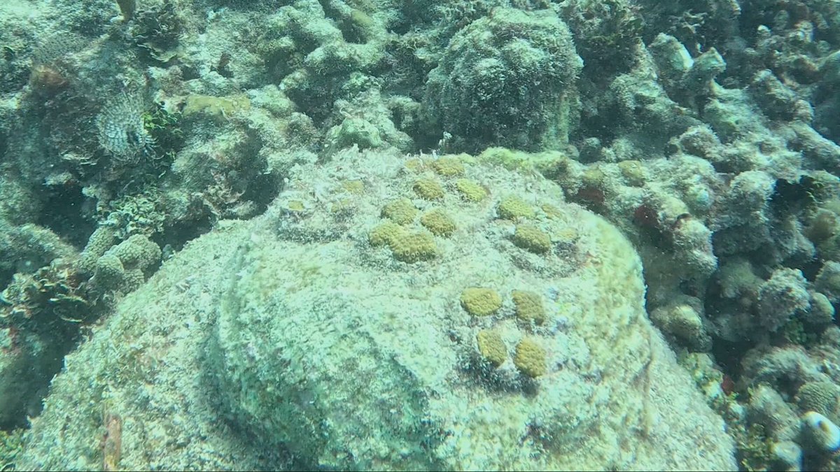 Maura Barrett tweet media