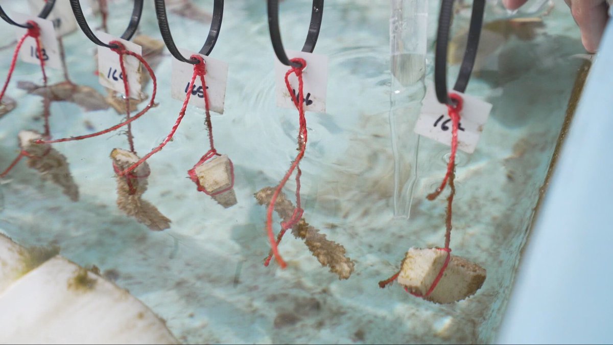 Maura Barrett tweet media