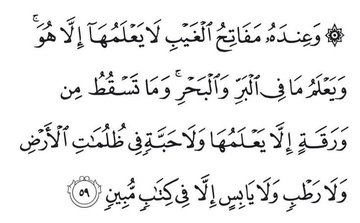 ظِلّ. (@sha_de0) on Twitter photo 