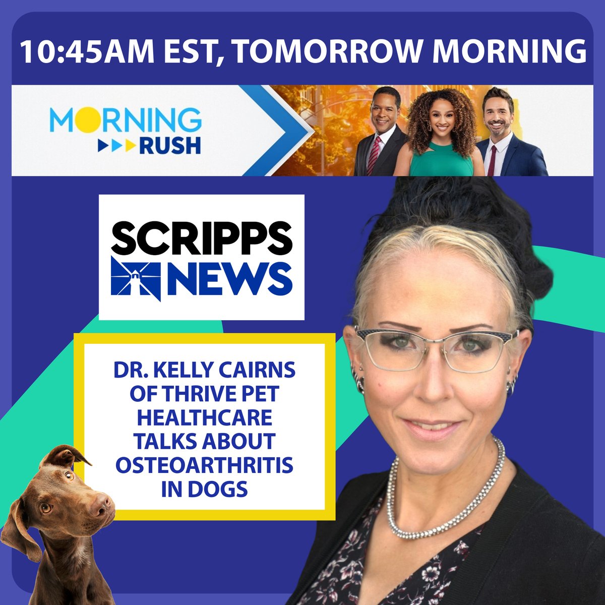 BreakthroughVid's tweet image. 🐶 If your dog is more than 8 years old, there's a good chance, he/she may have #osteoarthritis. Dr. Kelly Cairns of @Thrive_petcare, will be live on @scrippsnews "Morning Rush" at 10:45am est. tomorrow to discuss this health issue. Watch it live here: scrippsnews.com/live