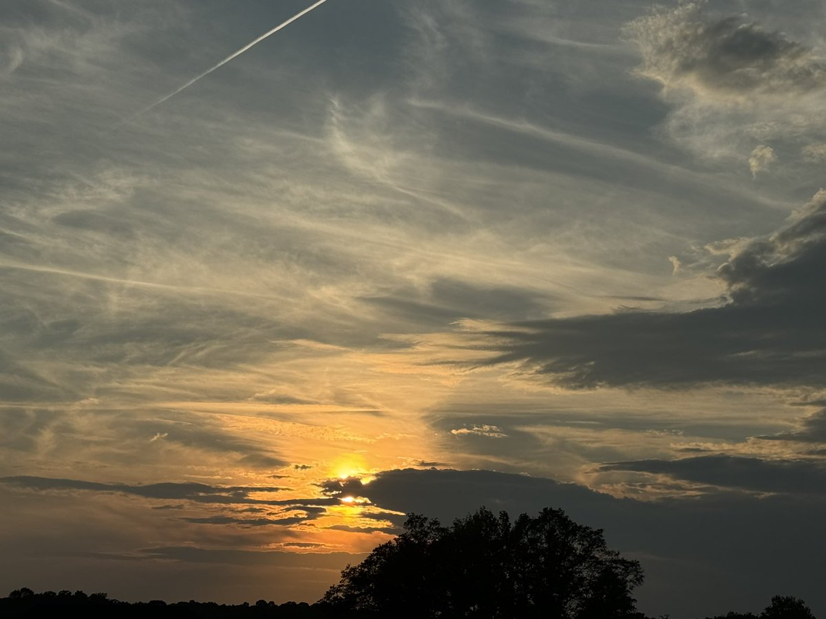 Kyle Pearson_WMS tweet media