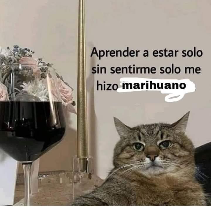Jeje