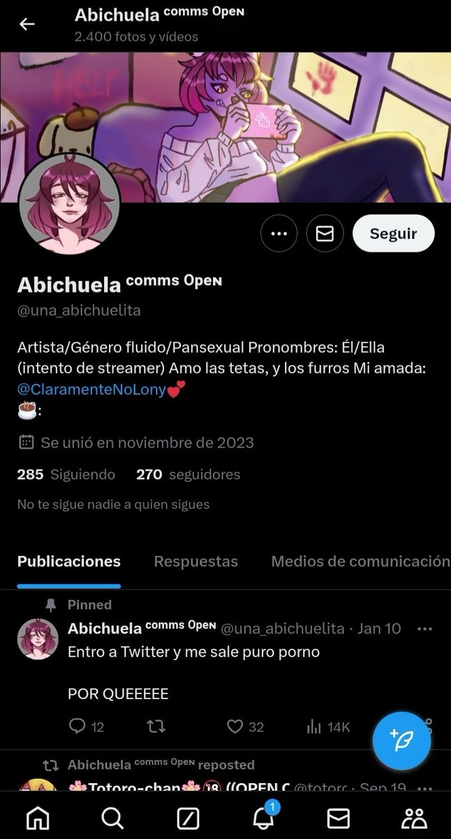 🧵Hago una denuncia pública encontra de Abigail Pulido conocida como @una_abichuelita (ya oculto su perfil o lo borro xd) por Usurpación de identidad.