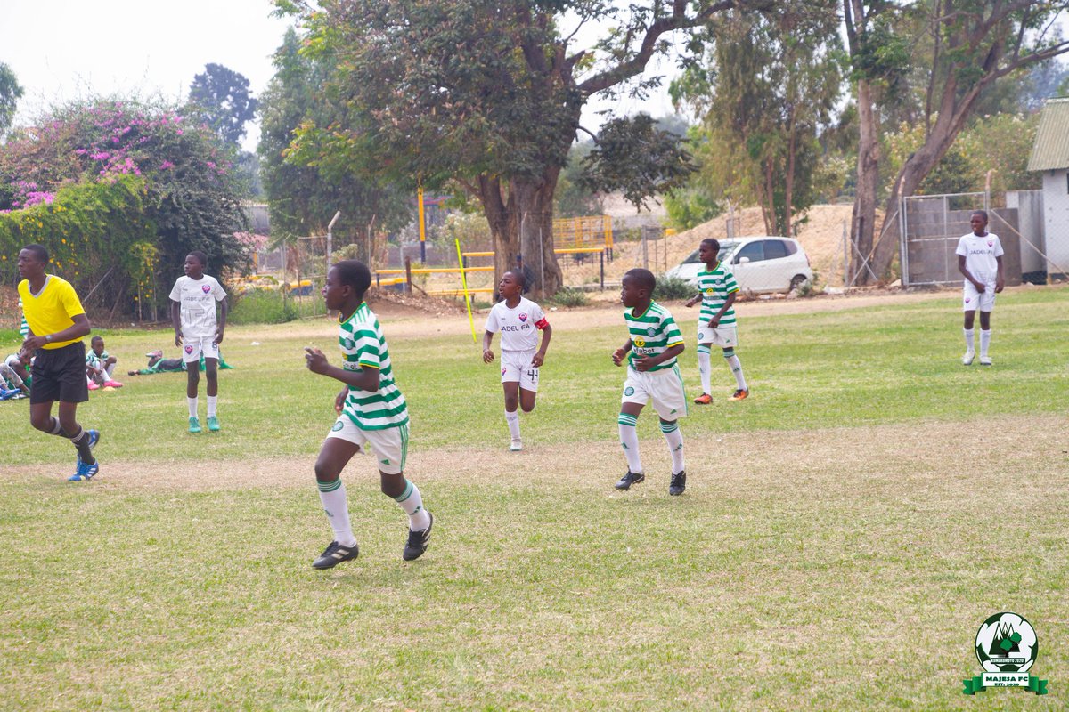 MAJESA_Academy tweet media