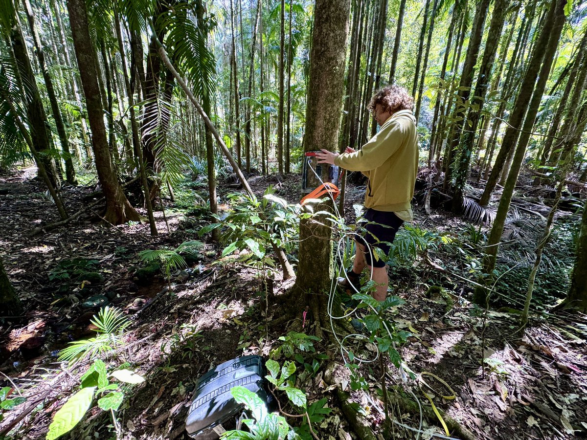 Luke_Jeffrey's tweet image. Another top day in the #Rainforest wrapping up a long term study of tree #Methane cycling for Johanness’ #PhD