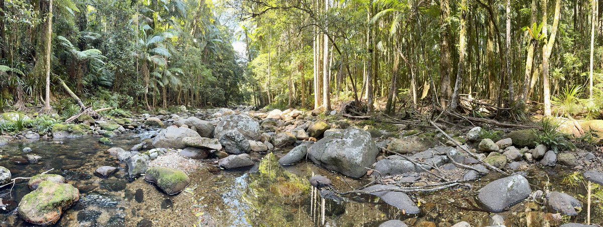 Luke_Jeffrey's tweet image. Another top day in the #Rainforest wrapping up a long term study of tree #Methane cycling for Johanness’ #PhD