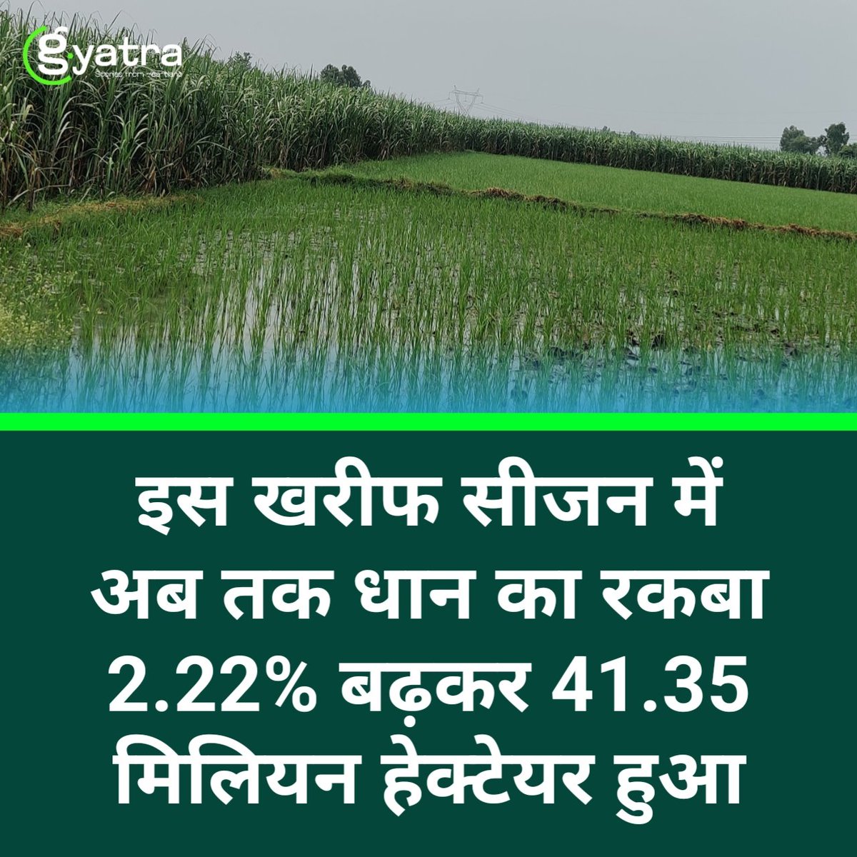Gaon_Yatra's tweet photo. कृषि मंत्रालय ने सोमवार को कहा कि चालू 2024-25 खरीफ (ग्रीष्म) सत्र में अब तक धान की बुवाई का रकबा 2.22 प्रतिशत बढ़कर 41.35 मिलियन हेक्टेयर हो गया है।

पिछले वर्ष इसी अवधि में धान की खेती का रकबा 40.45 मिलियन हेक्टेयर था।

#agriculture #farming https://t.co/JxeaUdVmIZ