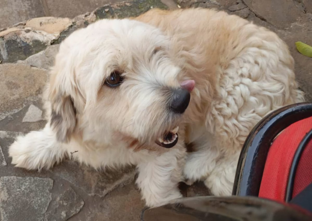 Maria Luz Fleitas G. tweet media