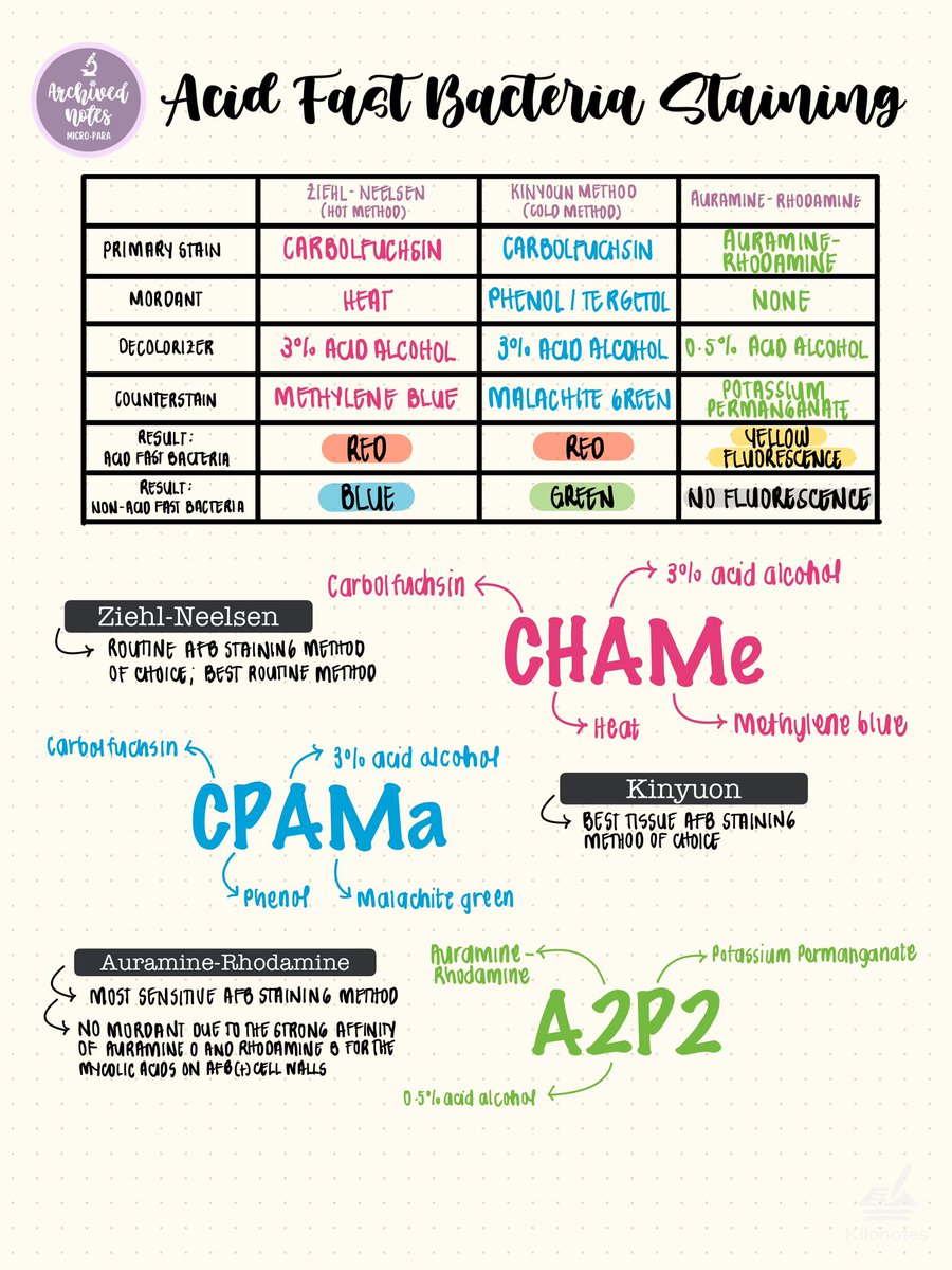 #BACTEarchives
⭐️ AFB Staining Methods