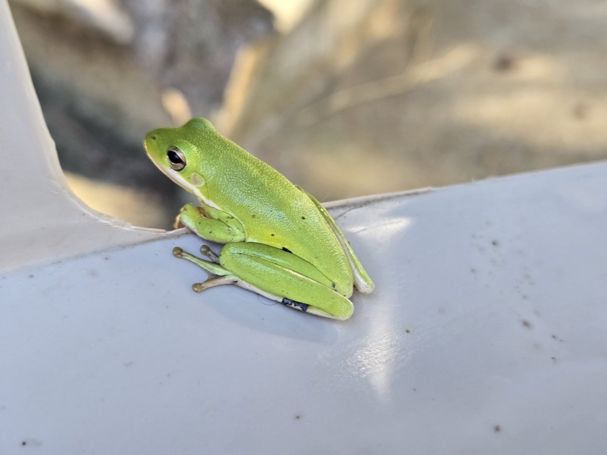 Swifties tweet media