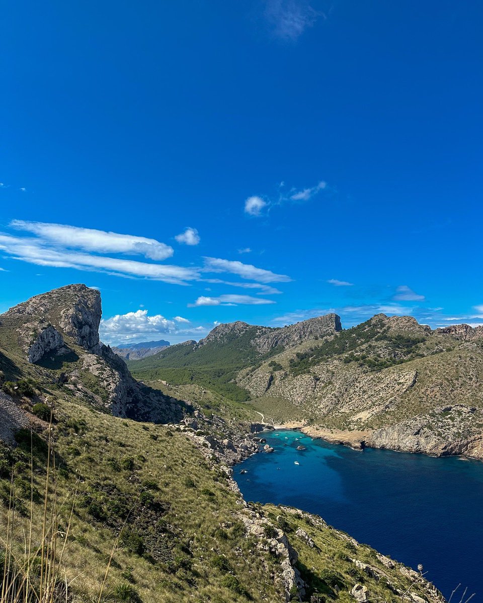 Charlotte Leach tweet media