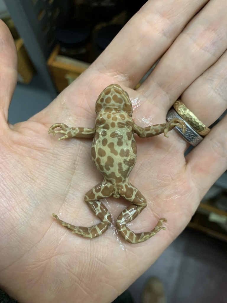 Dr Mark D. Scherz tweet media