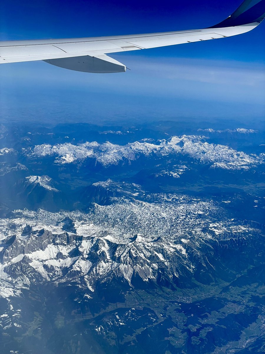 Dominik Sorger tweet media