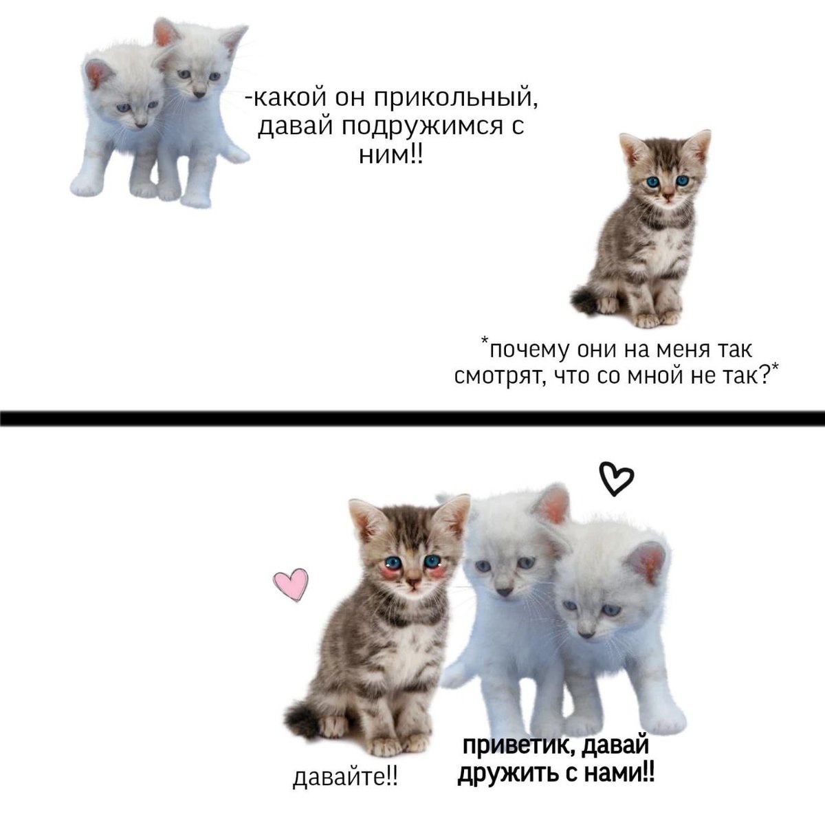 🐸жабья принцесса👑 (@kxiq7u7oc8nsgnc) on Twitter photo 