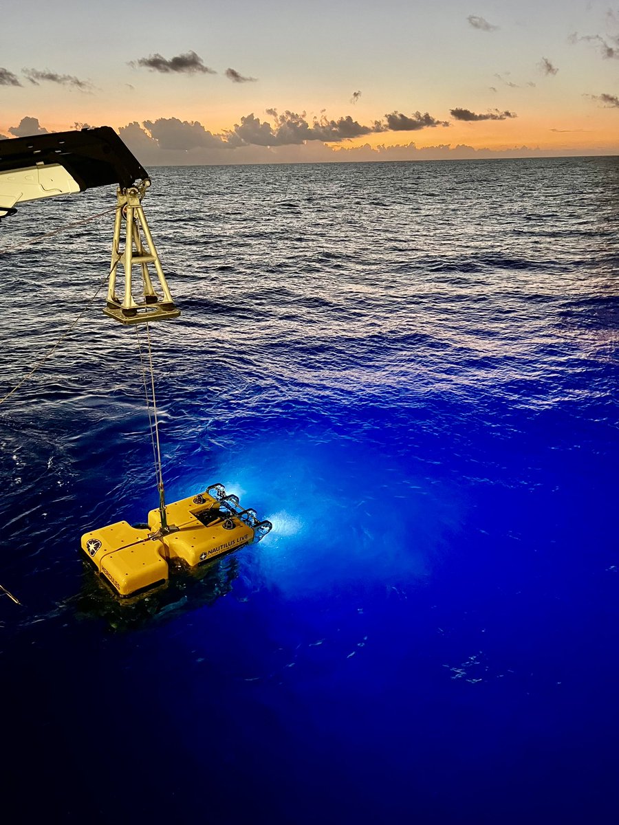 EVNautilus's tweet photo. 🚨 #DiveAlert! Tune in for our last #ROVHercules dive of NA165 and join us as we explore South Bank in the waters of #AmericanSamoa. Watch live at https://t.co/nLCfxkdMRo! https://t.co/n0d4ZKFnZY
