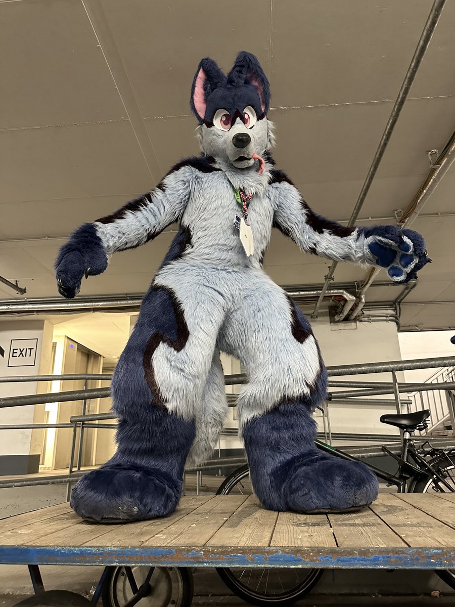 Myrion 🐺 tweet media