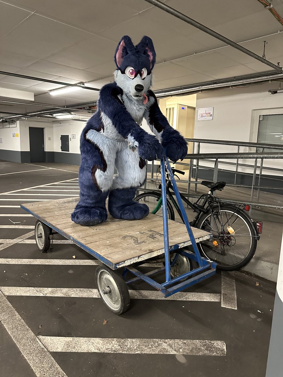 Myrion 🐺 tweet media