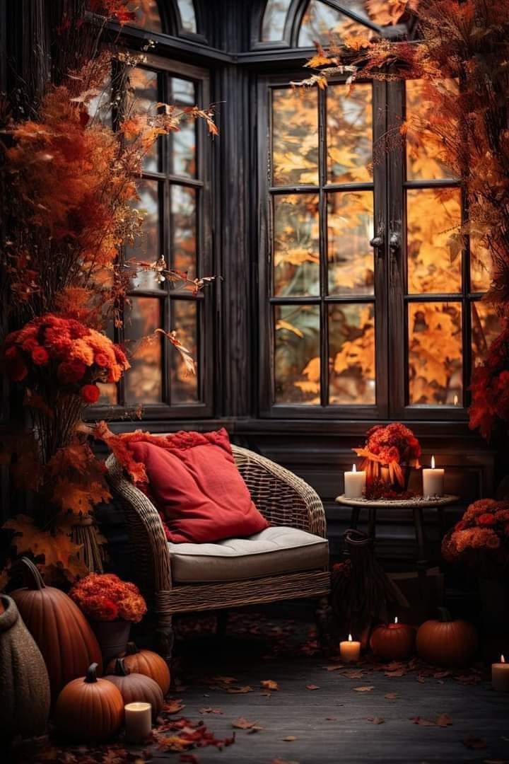 Elba14673248's tweet photo. Nada más hermoso que la llegada del OTOÑO. 🍁🍁 https://t.co/v9OETkrLhY