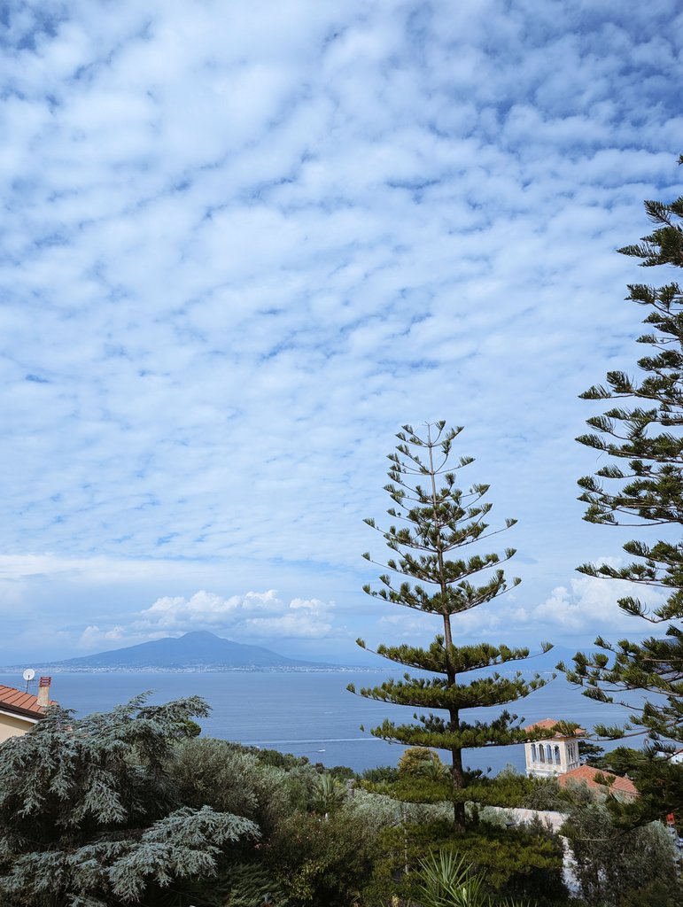 Vassiliki Nikoletopoulou Lab (@lab_vassiliki) on Twitter photo Fantastic talks and beautiful sunshine kicking off the #EMBO #autophagy meeting in Sorrento, 🇮🇹. Find us at posters #43, #49, and #107 to hear more about our latest work on autophagy in 🧠! <a href="/GambarottoLisa/">Lisa Gambarotto</a> <a href="/erinwosnitzka/">Erin Wosnitzka</a> Fantastic talks and beautiful sunshine kicking off the #EMBO #autophagy meeting in Sorrento, 🇮🇹. Find us at posters #43, #49, and #107 to hear more about our latest work on autophagy in 🧠! <a href="/GambarottoLisa/">Lisa Gambarotto</a> <a href="/erinwosnitzka/">Erin Wosnitzka</a>