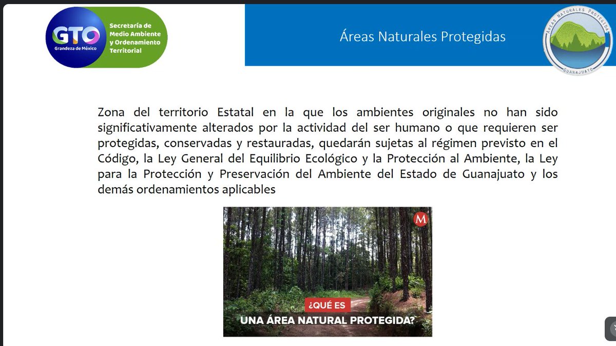 aguagobgente's tweet photo. Iniciamos las actividades de la celebración de la declaratoria del ANP Parque Metropolitano, con la ponencia 'Fauna en las ANP de #GTO' a cargo de la Dirección de Recursos Naturales de la #SMAOT 🌳🐦
¡Participa en las siguientes charlas! 😉
📲https://t.co/1UQtYms9L2 https://t.co/XXZhA7glzw