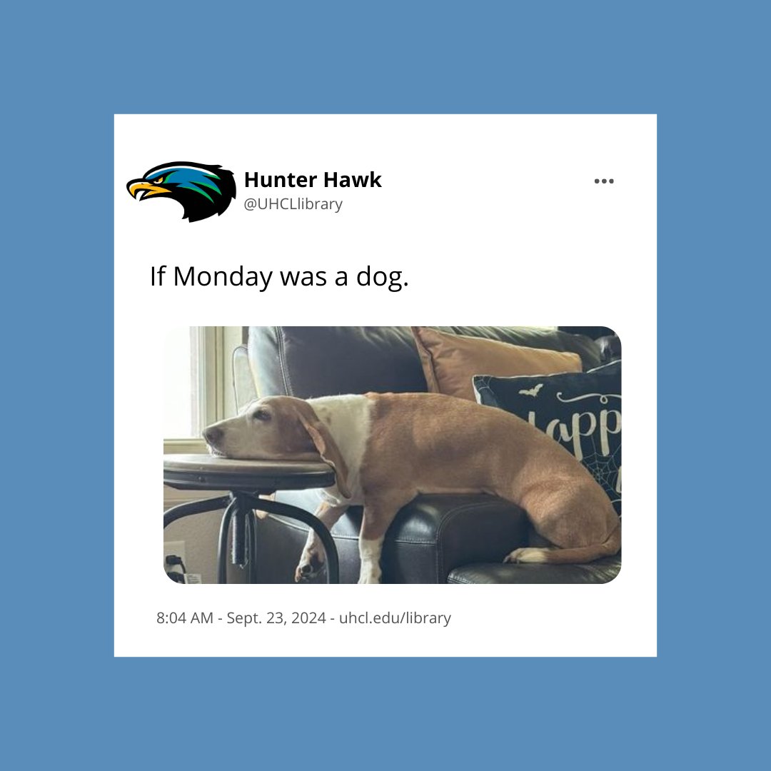 UHCLlibrary's tweet photo. #MemeMonday https://t.co/1qkcBMXfl0