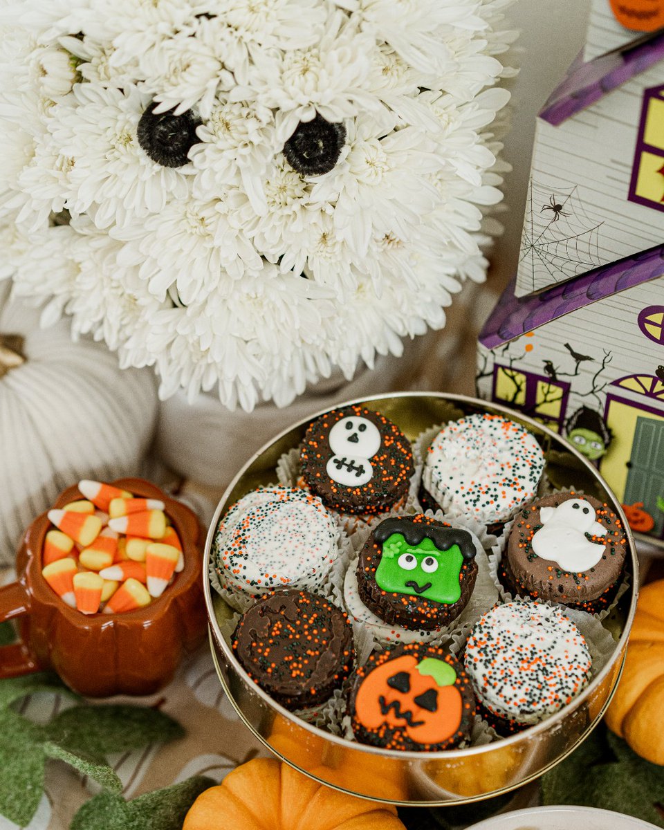 It's official— spooky season is here 👻 Shop our Halloween collection now: bit.ly/3B74gsQ