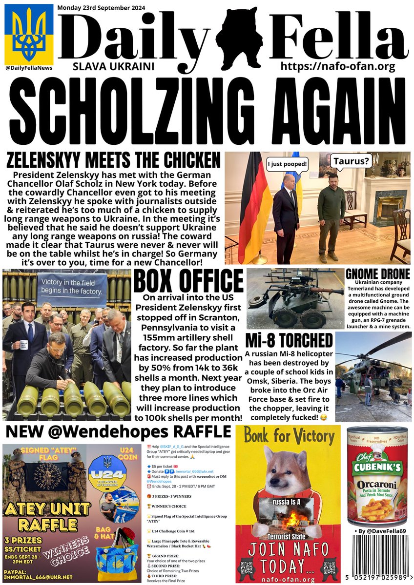 DAILY FELLA tweet media