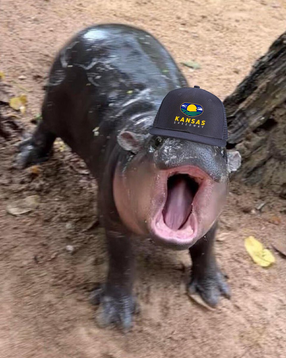 It's Kansas week. 😏