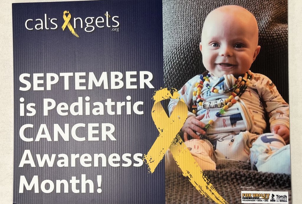 Mrs_Yost8's tweet photo. The SPIRIT club is partnering with @CalsAngels to help grant wishes, raise awareness and fund research for pediatric cancer patients. @WaucondaCUSD118 @WaucondaHS118 wear GOLD all weak to show support for the kids and @GoWHS_FlagFball @GoWHSVolleyball @Go_WHS_BSOC @GOWHS_FOOTBALL https://t.co/X9uQlraVvp