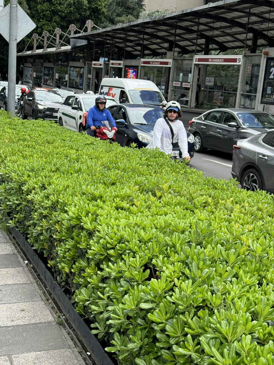 En la ciclovía de Insurgentes ante la incompetencia de <a href="/SSC_CDMX/">SSC CDMX</a> es normal ver ciclistas siendo correteados por repartidores en moto, pero bueno vivimos en una ciudad sin ley <a href="/BiciManager/">BiciManager</a> <a href="/BicireporteraDF/">Bicireportera CDMX</a>