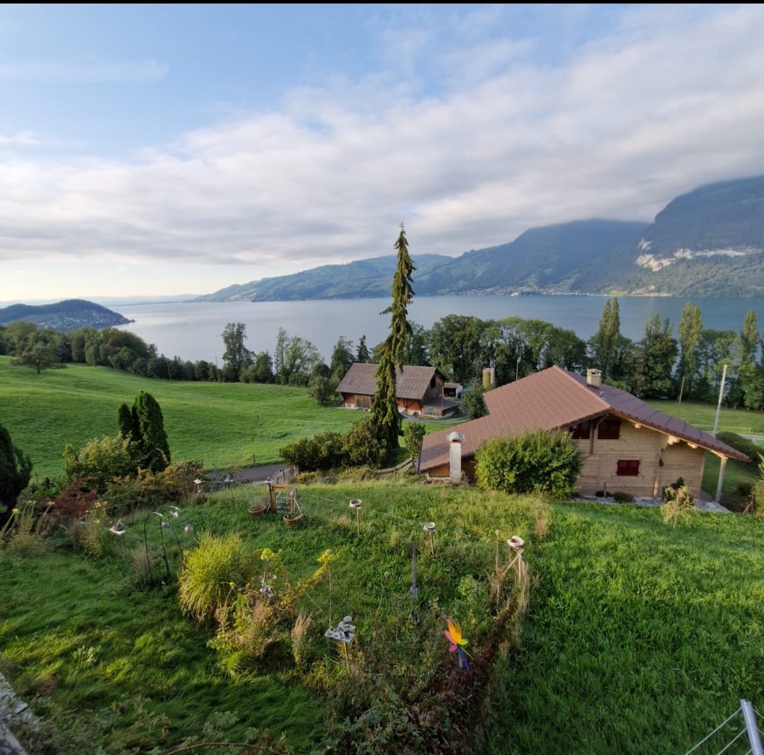 كريتيغن -  شبيز
سويسرا