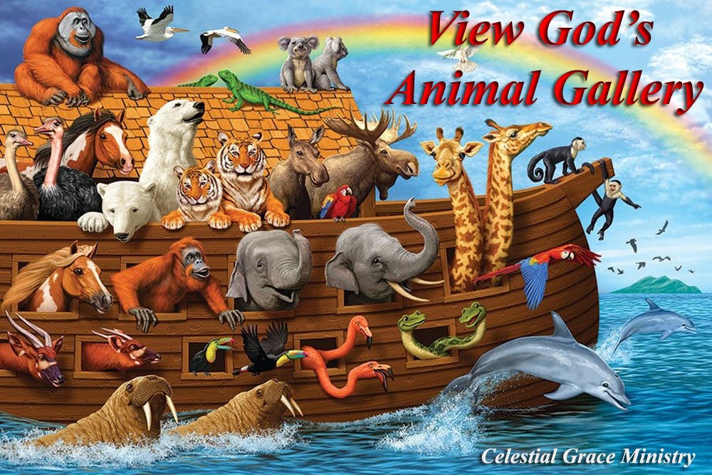Do you like Animals?  If so, View God's Animal Gallery:  celestialgrace.org/noahs_ark_anim…