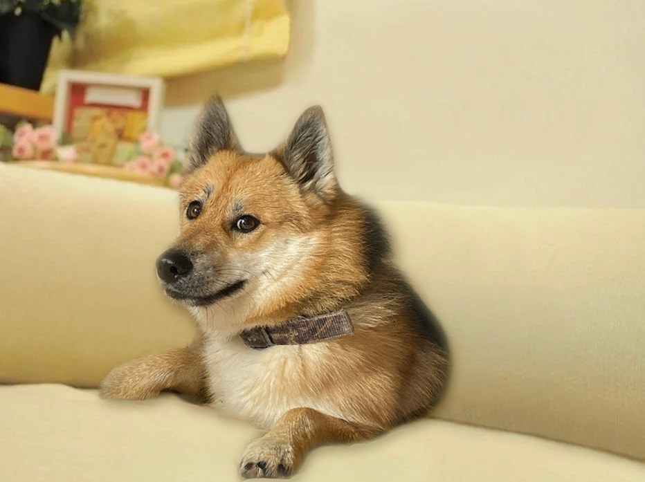 <a href="/BillyM2k/">Shibetoshi Nakamoto</a> <a href="/someworries/"></a> much pumpkin