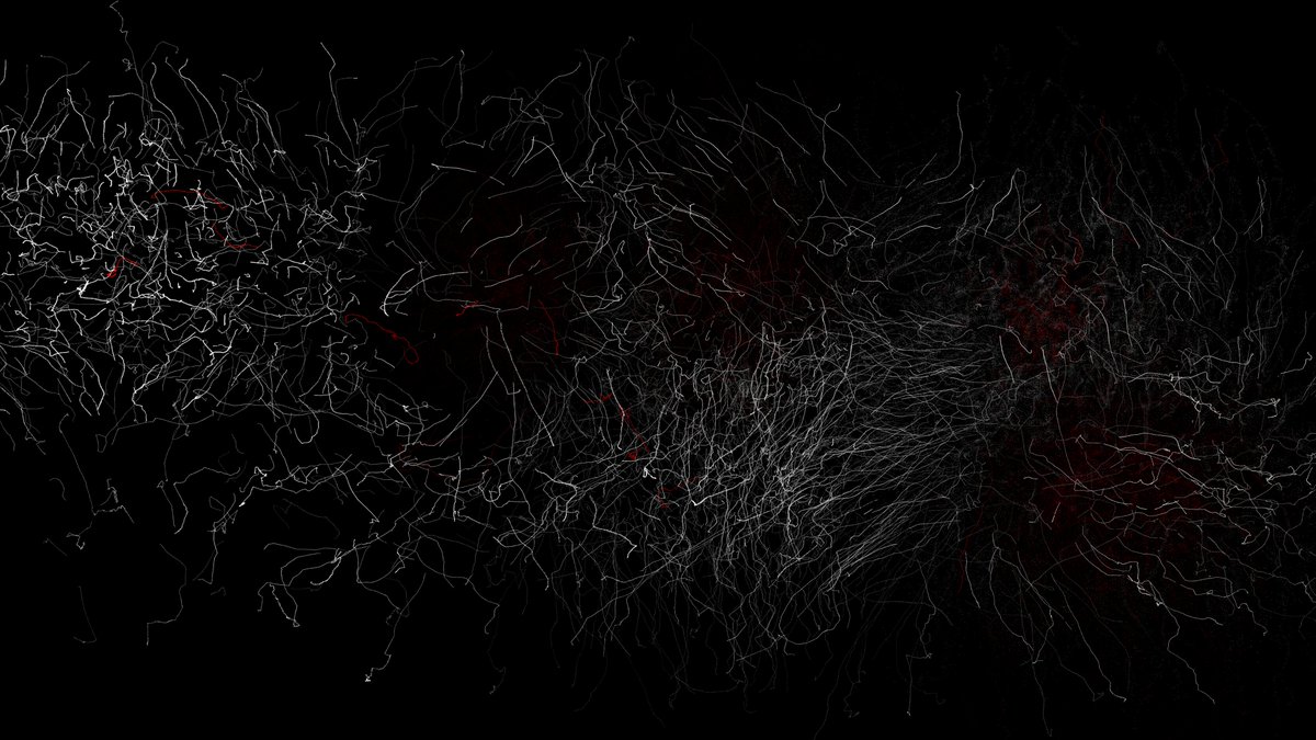 Vladimir Mitrović (@pttrn) on Twitter photo 