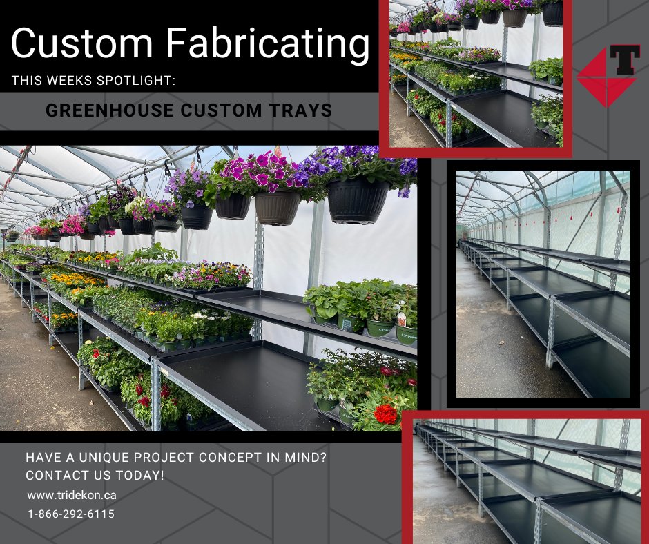 Tridekon tweet media