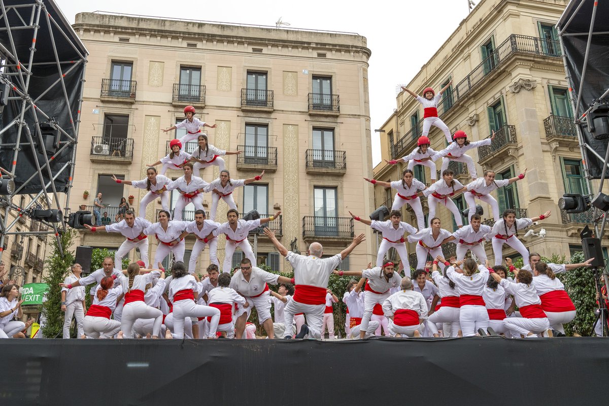 Falcons de Barcelona tweet media