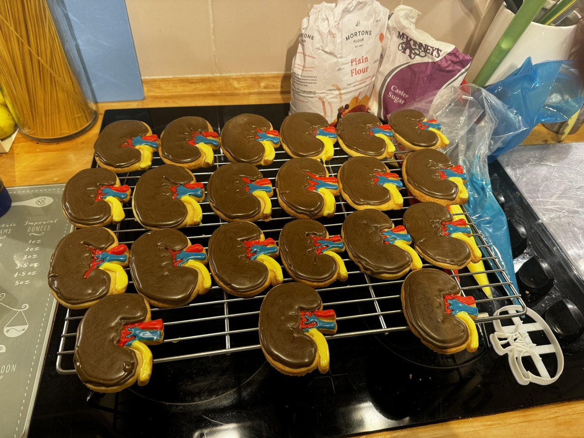 Vicky (@vbintleyvicky) on Twitter photo Iced Kidney biscuit anyone??
Non- transplantable but consumable 🍪
Need another hobby 🤦🏼♀️<a href="/Bakerlogy/">Bakerlogy Cookie Cutters</a> <a href="/OrganDonationNI/">Organ Donation Northern Ireland</a> <a href="/MortonsFlour/">Mortons Flour</a> <a href="/BritishBakeOff/">British Bake Off</a> <a href="/amateuradam/">Adam Kay</a> #OrganDonation #transplant #baking Iced Kidney biscuit anyone??
Non- transplantable but consumable 🍪
Need another hobby 🤦🏼♀️<a href="/Bakerlogy/">Bakerlogy Cookie Cutters</a> <a href="/OrganDonationNI/">Organ Donation Northern Ireland</a> <a href="/MortonsFlour/">Mortons Flour</a> <a href="/BritishBakeOff/">British Bake Off</a> <a href="/amateuradam/">Adam Kay</a> #OrganDonation #transplant #baking
