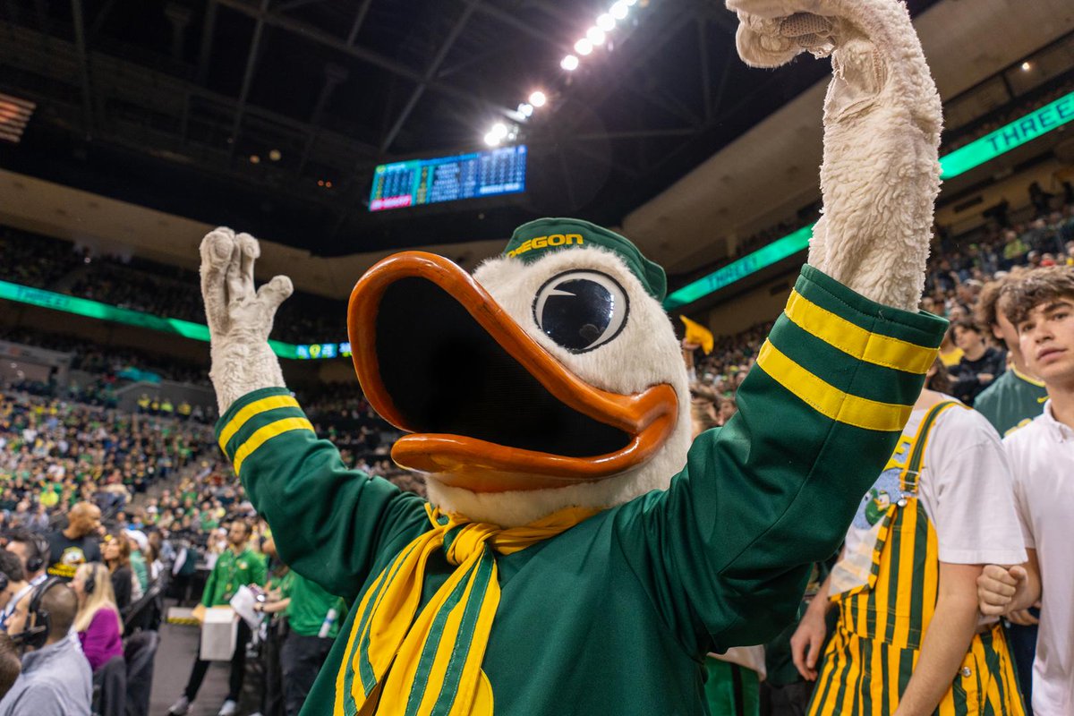 CallMeADuck's tweet photo. Letβs pack Matthew Knight Arena on Friday for Oregon volleyballβs first-ever Big Ten volleyball match! Meet up at the SWC before heading to MKA.
ποΈ Friday, September 27th
β° 6:00 PM Meet-Up
π Student Welcome Center β‘οΈ Matthew Knight Arena
#CallMeADuck #OregonBound https://t.co/oVDEkvIm7m