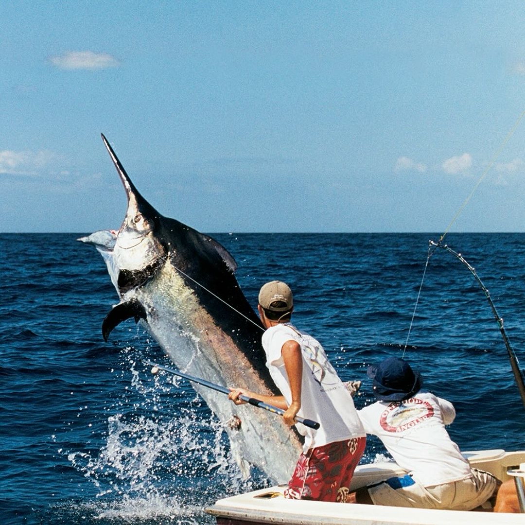 BDOutdoors.com tweet media