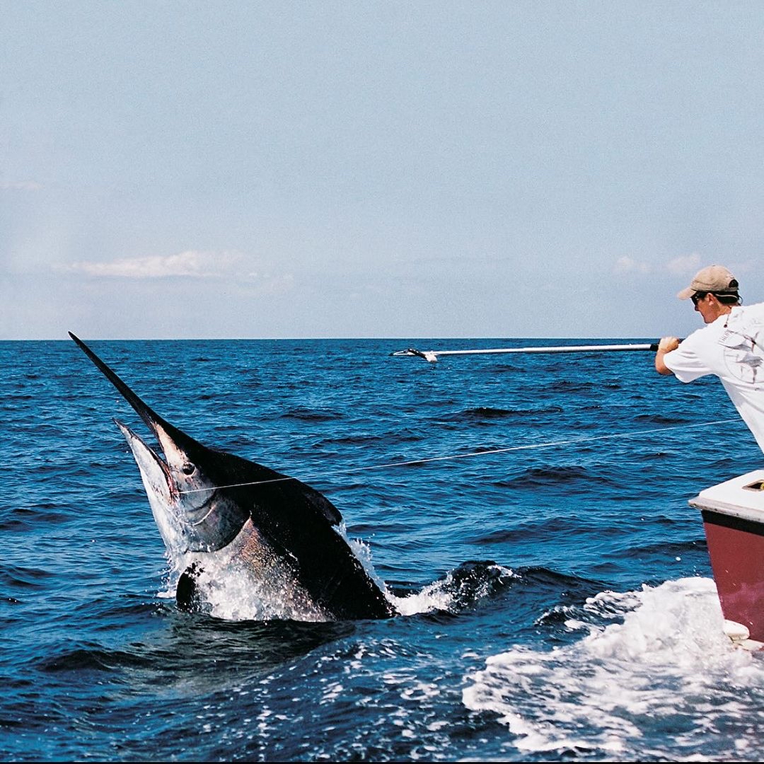 Some legendary shots of <a href="/aftco/">aftco</a> Chairman Bill Shedd, Neil Patrick, and @drguyharvey battling and tagging a black marlin estimated at over 1200lbs down on the Zane Gray Reef, Panama, 2005.⁠
⁠
⁠
.⁠
#BDOutdoors #bdoutdoorsdotcom  #blackmarlin #billfish